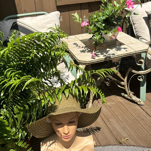 NEW Max Grey Lightweight Very pretty Olive Green Color paper Hat - Picture 6 of 9